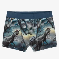Molo Boys Blue Cotton Dinosaur Boxers (2 Pack) Online