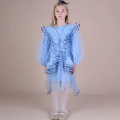 RaspberryPlum Girls Blue Tulle Ruffle Dress Online