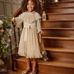 Childrens Classics Girls Gold Leather Shoes Hot