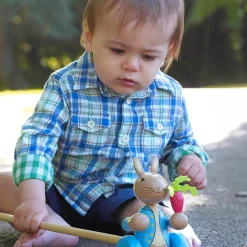 Orange Tree Toys Peter Rabbit Push Along Toy (15cm) Clearance