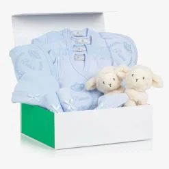 Childrensalon Hampers Twin Boys Welcome To The World Hamper